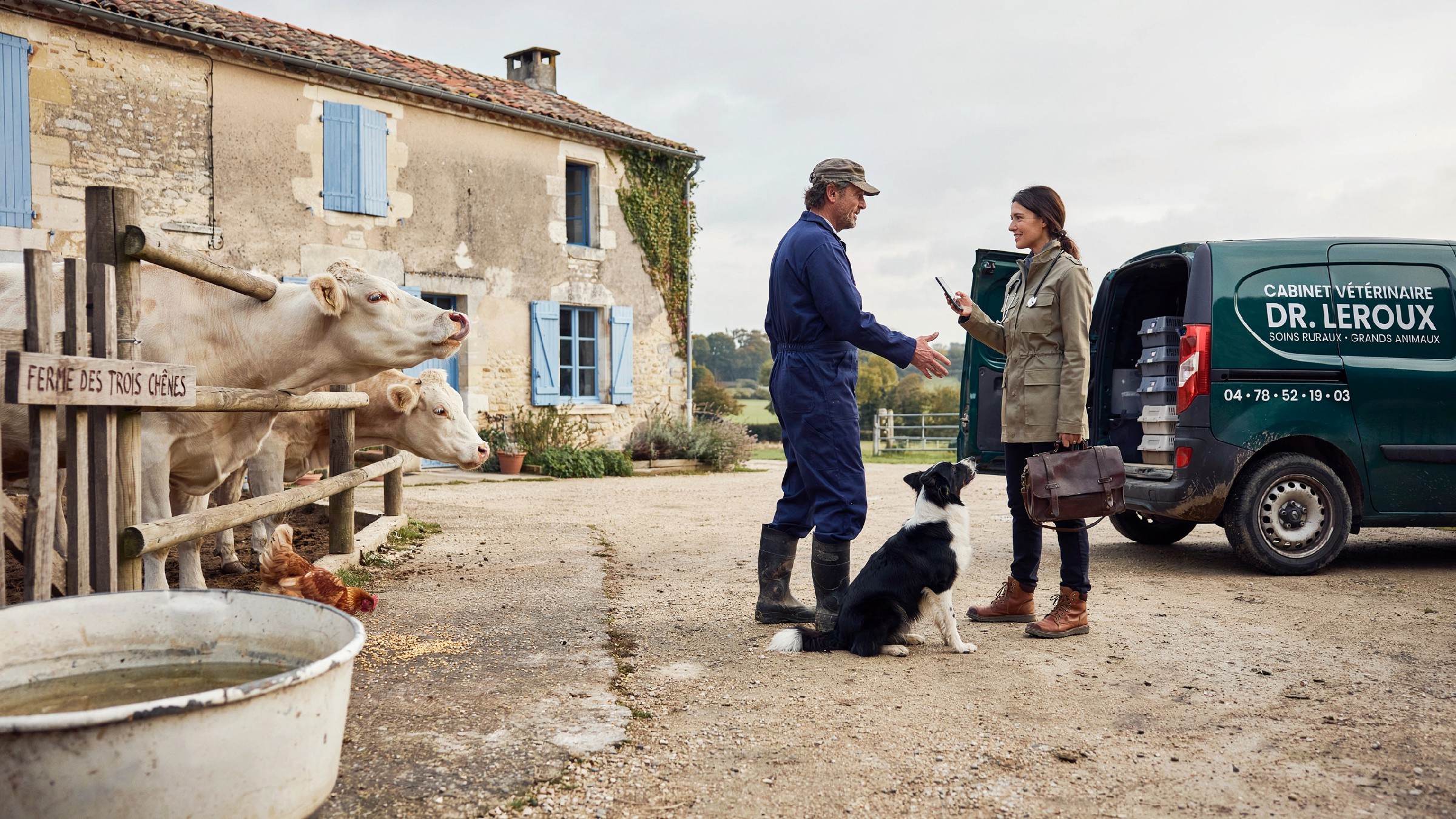Bonnes pratiques d'élevage bovin en saison sèche